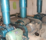 can you bet on sports in pa