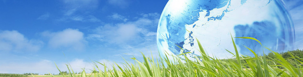 can you bet sports online in ny